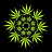 Hippie